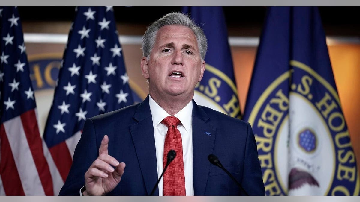 Kevin McCarthy speaking after an election