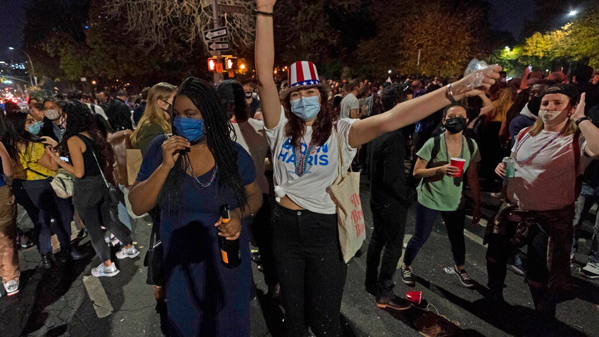Revelers celebrate in Fort Greene park after former vice president and Democratic presidential candidate Joe Biden was announced as the winner over President Donald Trump to become the 46th president, Nov. 7. (AP Photo/Mary Altaffer)