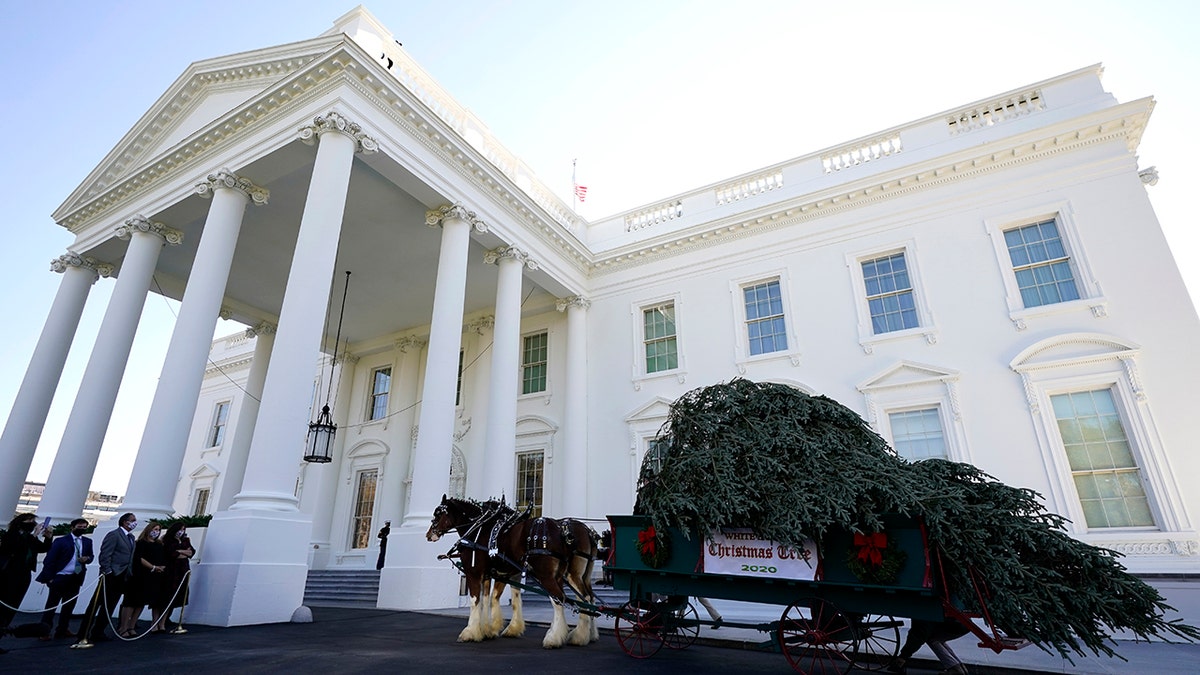 The Christmas tree came from Dan and Bryan Trees of West Virginia. (AP Photo/Andrew Harnik)