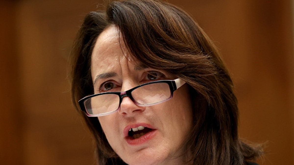 WASHINGTON, DC - JANUARY 14: Avril Haines, former deputy national security advisor and former deputy director of the Central Intelligence Agency, testifies before the House Foreign Affairs Committee January 14, 2020 in Washington, DC. Haines testified before the committee on the topic of “From Sanctions to the Soleimani Strike to Escalation: Evaluating the Administration's Iran Policy." (Photo by Win McNamee/Getty Images)