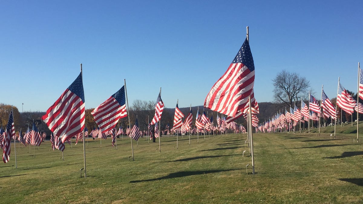 Flags on display at Blairsville Cemetery, Blairsville, Penn. (Photo by Dan Kelley, Blairsville Cemetery Board of Directors)