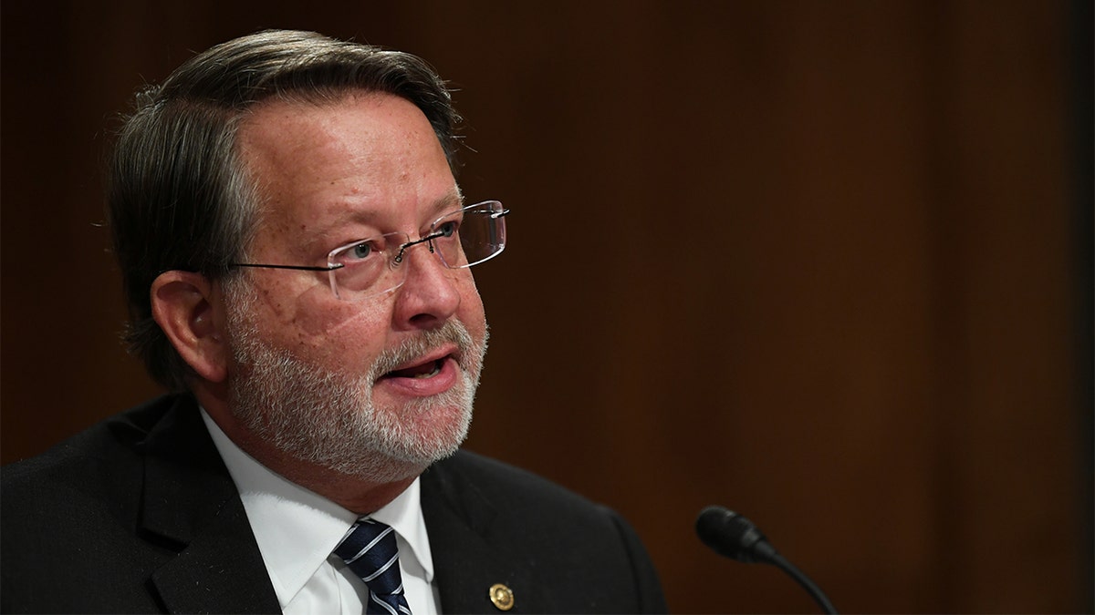 Senator Gary Peters during the Senate Homeland Security and Governmental Affairs Committee on Aug. 6, 2020 in Washington, D.C. (Toni Sandys/Pool via REUTERS)