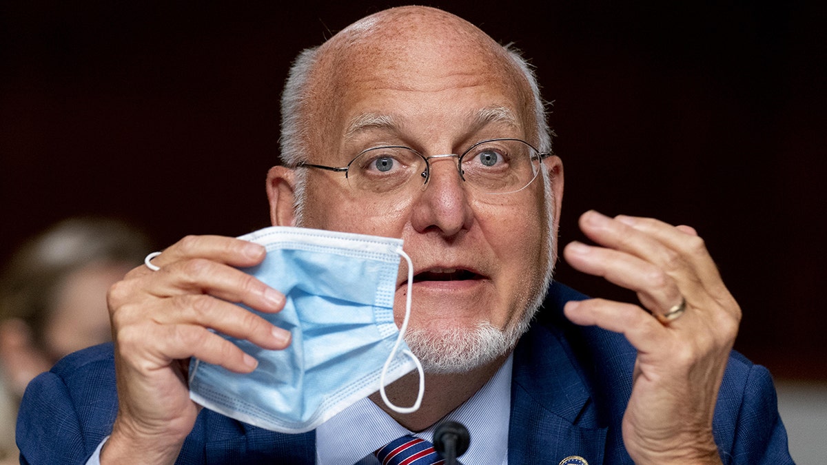 CDC Director Robert Redfield speaks during a Senate Appropriations subcommittee hearing on Capitol Hill on Sept. 16, 2020. (Andrew Harnik/AP Photo/Bloomberg via Getty Images)