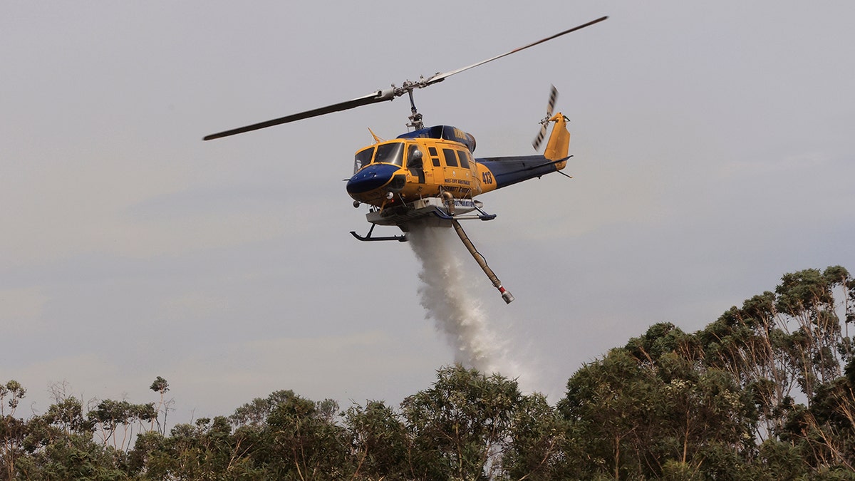 SYDNEY, AUSTRALIA - NOVEMBER 29: Helicopters are seen water bombing an out of control bushfire at Northmead on November 29, 2020 in Sydney, Australia. The Bureau of Meteorology has forecast heatwave conditions in NSW this weekend, with temperatures expected to exceed 40 degrees across the state. (Photo by Jenny Evans/Getty Images)