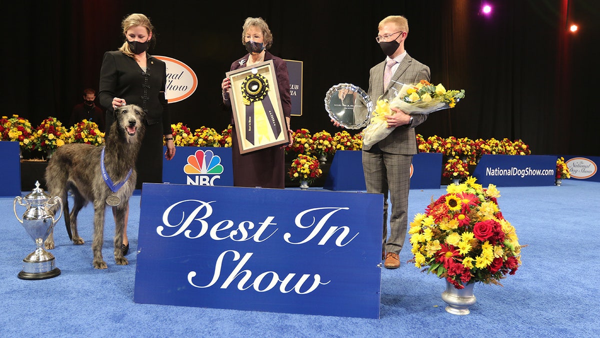 It's the first time in the show’s 135-year history that a Scottish deerhound emerged as a star.