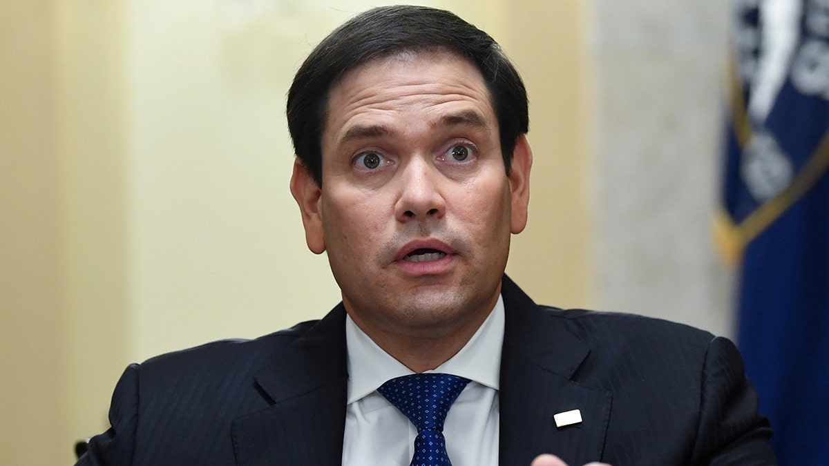 FILE: U.S. Senator Marco Rubio, R-Fla., speaks at the Senate Small Business and Entrepreneurship Hearings to examine implementation of Title I of the CARES Act on Capitol Hill in Washington, DC, U.S. June 10, 2020. 