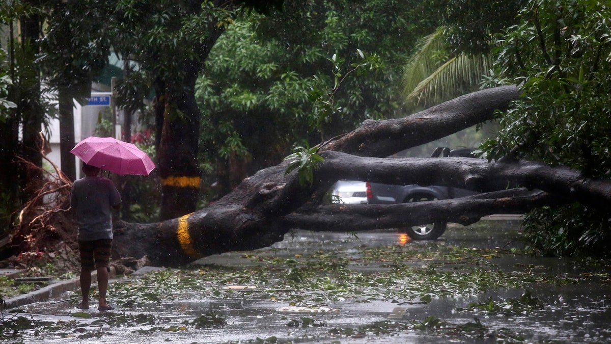 A man walks beside a toppled tree in Quezon city, the Philippines, as Typhoon Vamco hit the city, Thursday, Nov. 12, 2020.