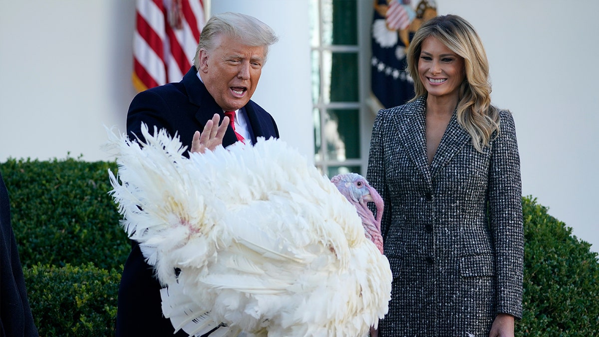 President Donald Trump pardons Corn, the national Thanksgiving turkey, in the Rose Garden of the White House on Nov. 24 as first lady Melania Trump watches. (AP Photo/Susan Walsh)