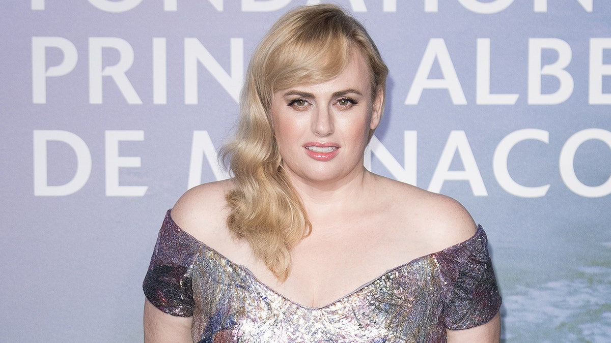 Rebel Wilson suffered an injury while taking 'hot photos' with her friends on vacation.