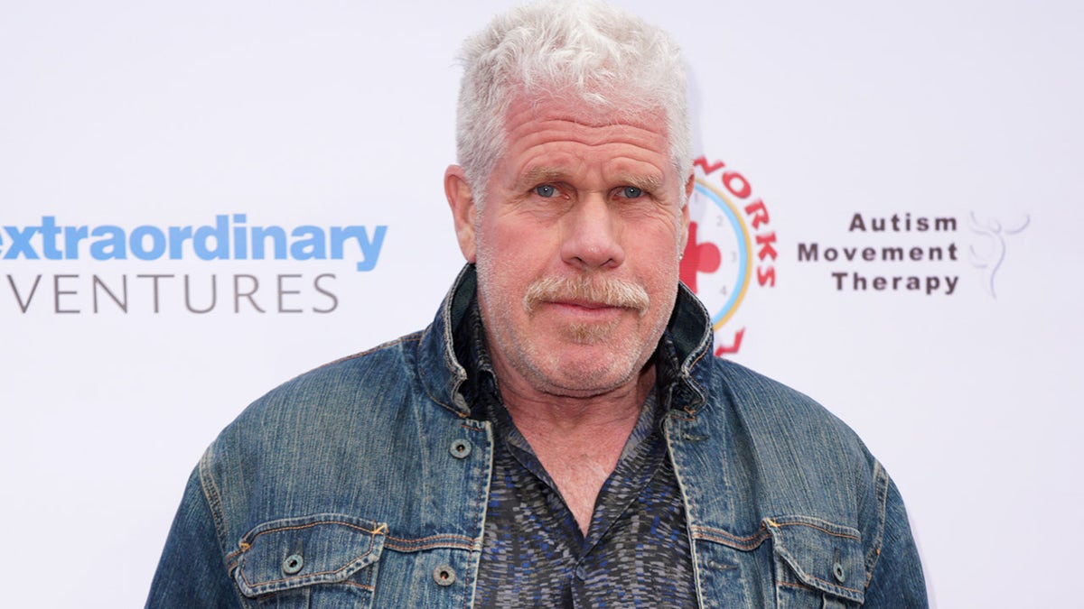 Actor Ron Perlman