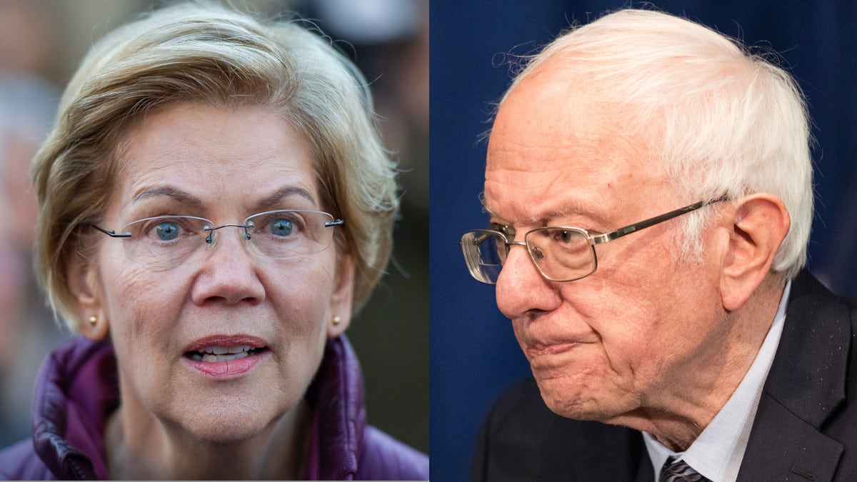 Warren v. Bernie