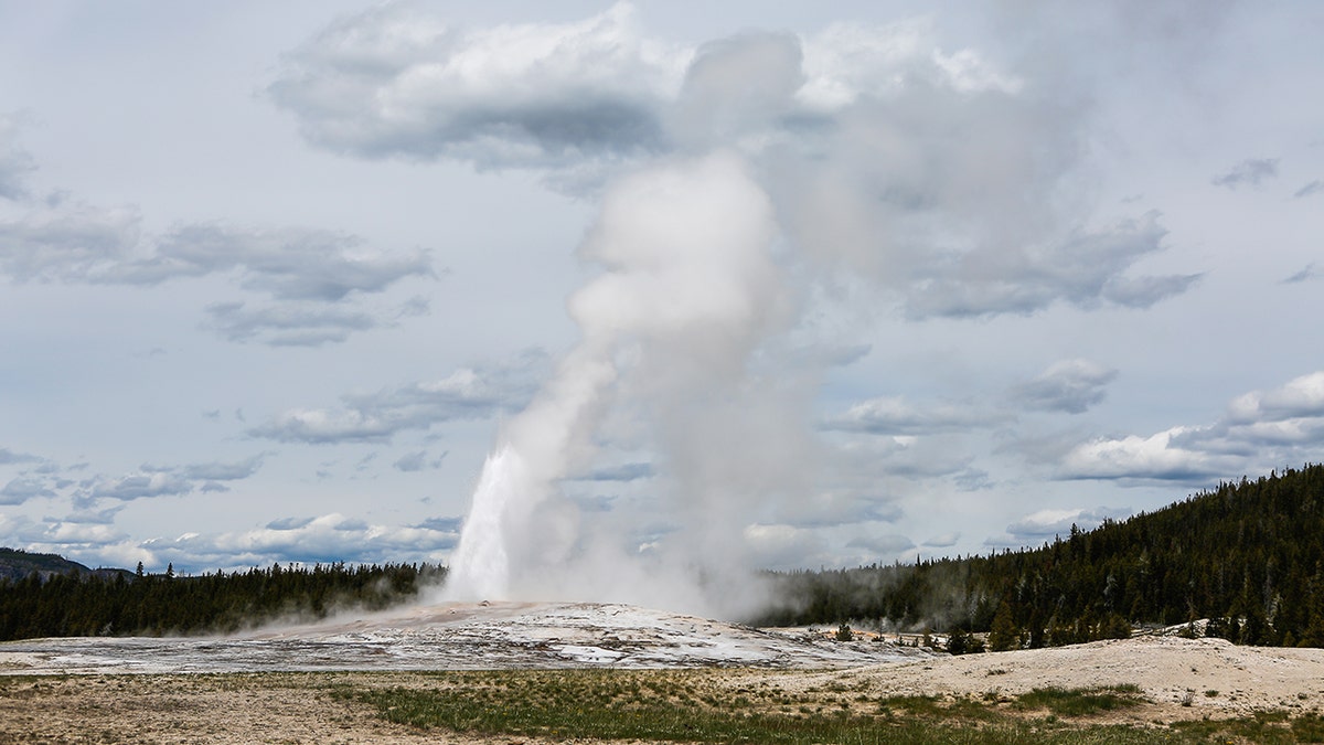 Yellowstone’s safety regulations currently prohibit visitors from straying from boardwalks or maintained trails near its thermal features, to prevent guests from injuring themselves or destroying the life forms found within the geysers and springs.