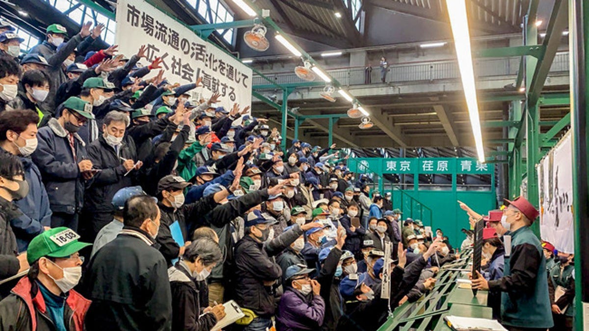 People gathered at the mandarin orange auction held on Nov. 5, 2020 at Ota Market in Tokyo. (JA Nishiuwa Agricultural Cooperative)