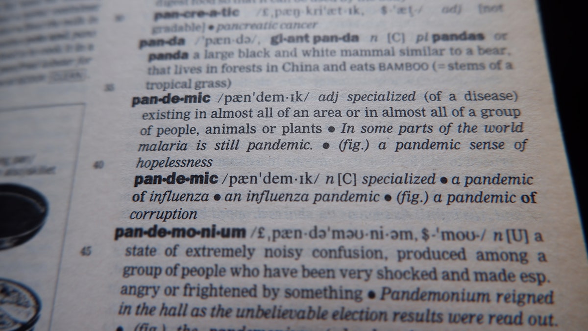 “We saw new words emerge, and historical words resurface with new significance, as the English language developed rapidly to keep pace with the political upheaval and societal tensions that defined the year," wrote the authors of the report.