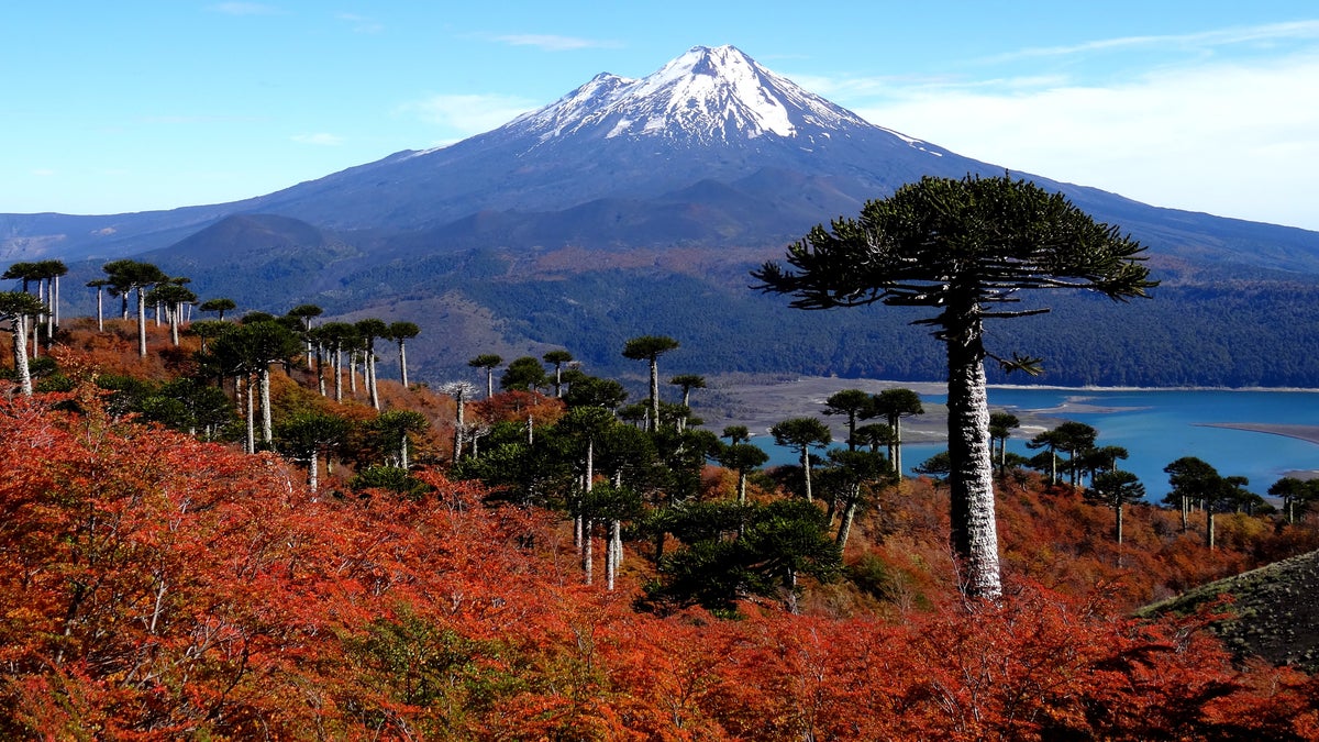 Chile will reopen to international travelers next month. (iStock).