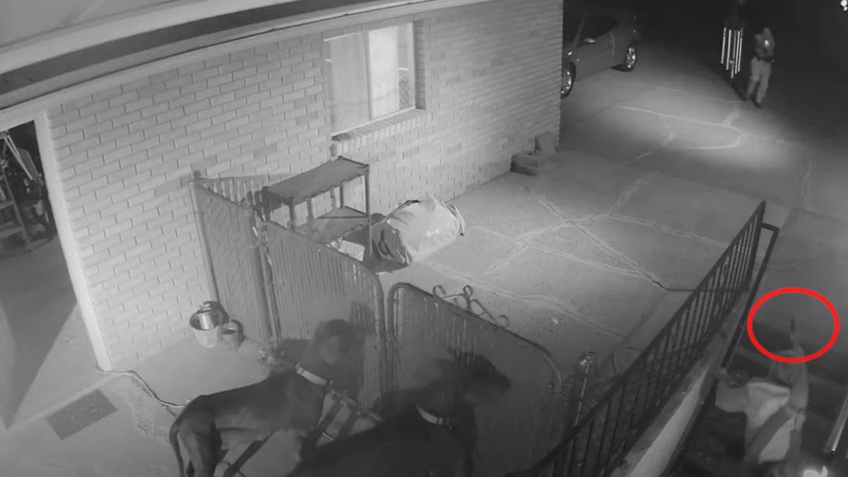 Surveillance video at the residence showed Johansen pointing what appeared to be a handgun at the officer before he was shot. (Weber County Attorney's Office)