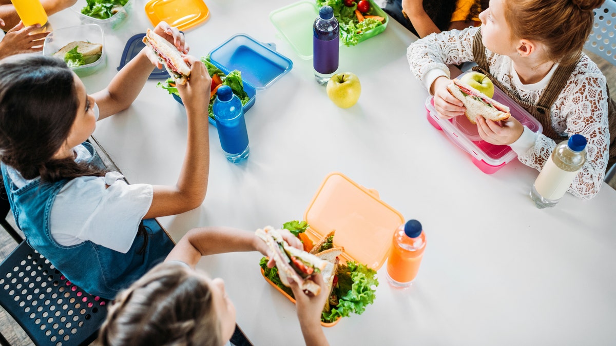 school lunch