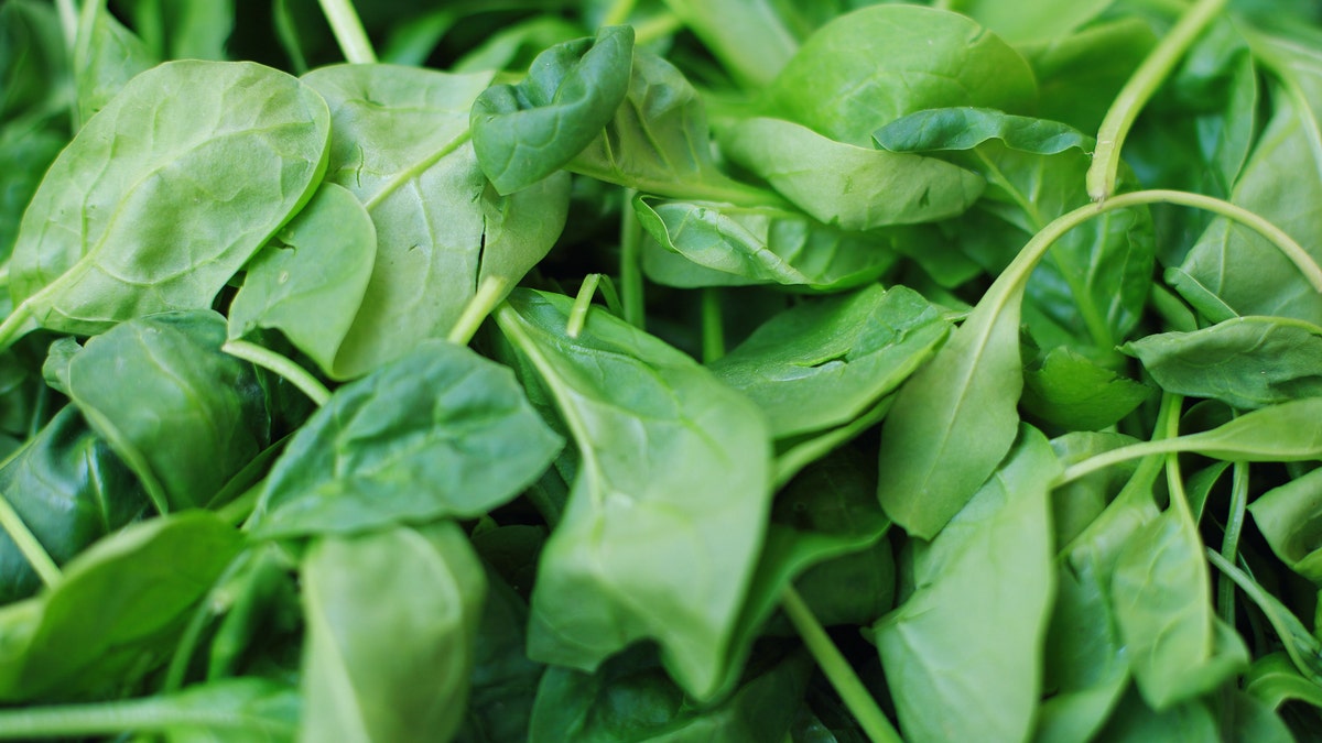 A bunch of bright green, raw spinach.