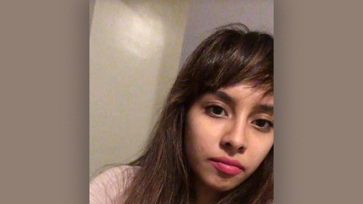 Vanessa Ceja-Ramirez, 22, was reported missing Monday after visiting an Illinois forest preserve. Her body was found two days later.