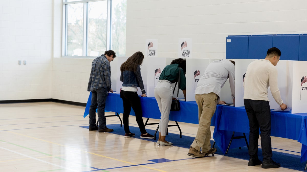 People of varying ages stand and vote at the voting booths set up against the wall of the school gym.