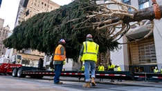 Rockefeller Center Christmas tree arrives in NYC: 8 little-known facts about the famous fir