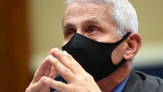 Trump voters blast Fauci as 'self-serving', 'liar', want doctors to deliver vaccine message: Frank Luntz