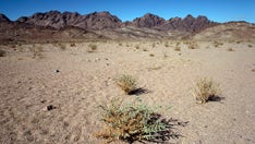 5 American troops killed in helicopter crash off Egypt's Sinai Peninsula