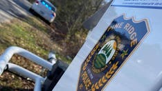 South Carolina town left without police force amid concerns over meddling mayor: report