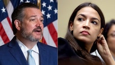 Ted Cruz challenges AOC to 'cry in front of the Biden cages' as border crisis rages