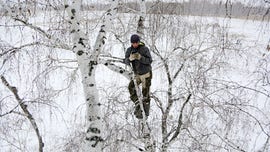 Siberian student climbs tree to access internet for remote learning in rural village