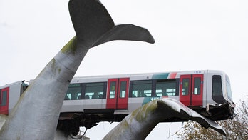 Whale tail structure catches runaway metro train in Netherlands