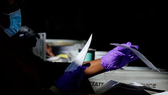 Top Georgia election official expects vote counting to end Thursday afternoon