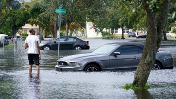 Manatee surprises Florida homeowner during Tropical Storm Eta