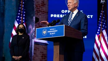Biden transition reveals 'agency review teams' amid spat over transfer of power