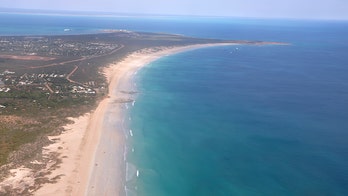 Shark attack in Australia kills 55-year-old man, marks 8th fatality this year