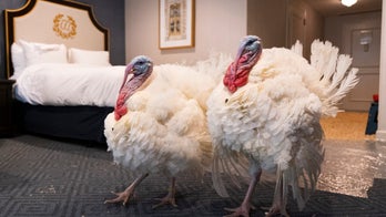 Meet Corn and Cob, Thanksgiving 2020 turkeys pardoned by Trump