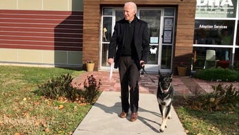 What to know about German shepherds after Major Biden’s ‘biting incident’