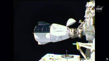 SpaceX capsule with 4 astronauts reaches space station
