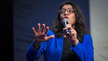 'Squad' member Rashida Tlaib says 'Israel is a racist state'