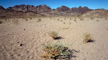 5 American troops killed in helicopter crash off Egypt's Sinai Peninsula