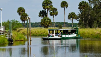 Girl, 3, seriously injured in Florida sightseeing tram accident