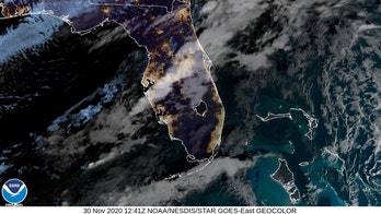 Tornado hits Florida county, downing trees and power lines