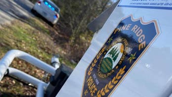 South Carolina town left without police force amid concerns over meddling mayor: report