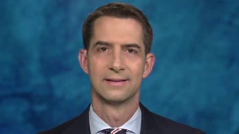 Cotton warns Democrats will nix Electoral College, pack Supreme Court if they win Georgia runoffs