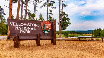 Yellowstone, Grand Teton National Parks see record visitors in October