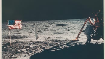 Apollo 11: Only picture of Neil Armstrong on the moon up for auction