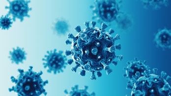 Coronavirus cases in North Dakota reach record high