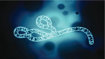 Congo declares end to 11th Ebola outbreak