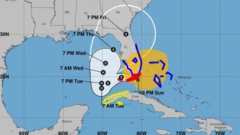 Tropical Storm Eta makes landfall in south Florida with sustained winds of 65 mph: report