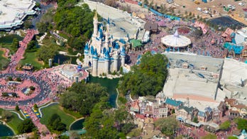 Disney World guest filled with 'excited delirium' arrested for attacking security guard at Animal Kingdom